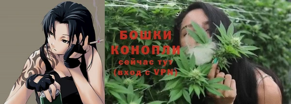 ГАЛЛЮЦИНОГЕННЫЕ ГРИБЫ Куйбышев