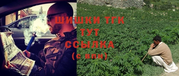 прущие грибы Ладушкин