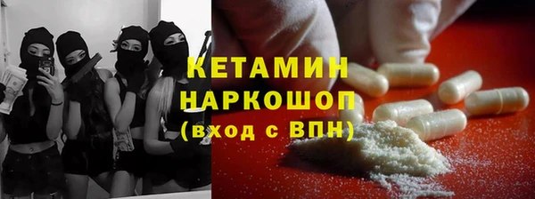 прущие грибы Ладушкин