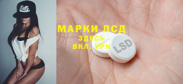 мдпв Лагань