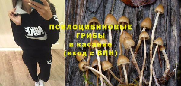 гашишное масло Лабытнанги