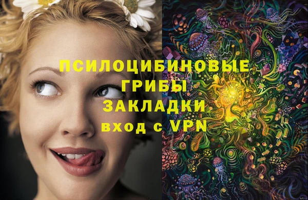 мдпв Лагань