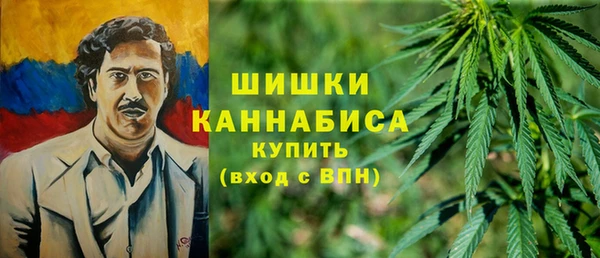 прущие грибы Ладушкин