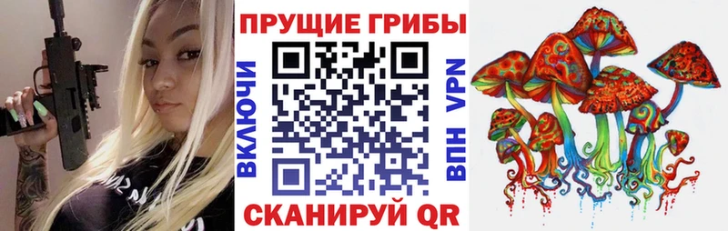 Псилоцибиновые грибы прущие грибы  Купить где  Любим 